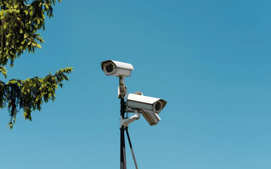 Twarz nie kłamie? W Europie policja myli cię z przestępcą